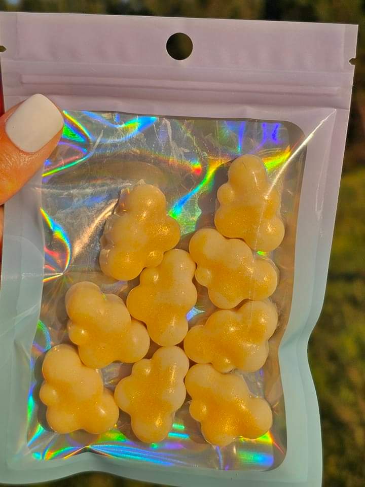Mini Cloud ☁️ Wax Melts