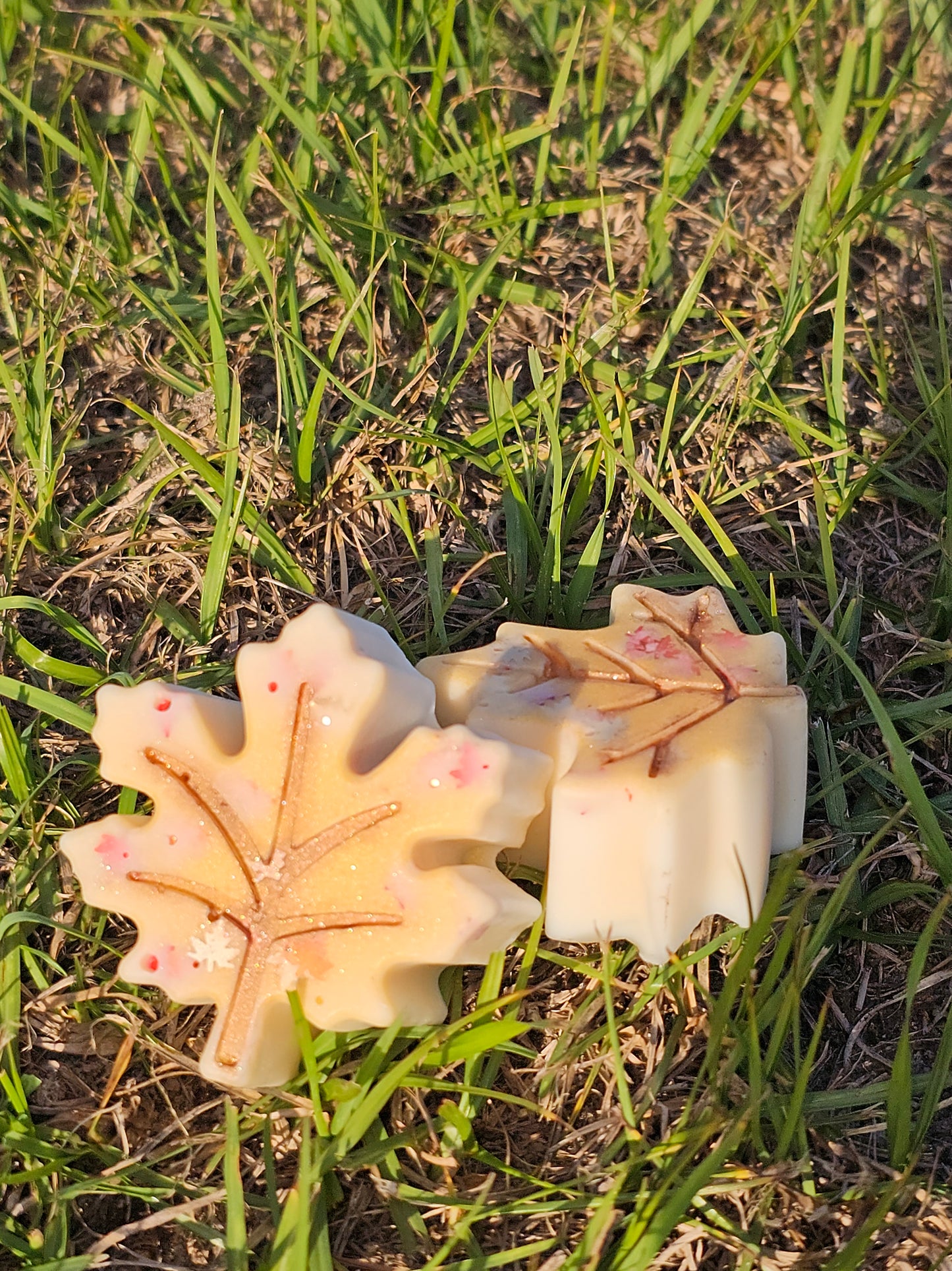 Acorns 🌰 & Leaves 🍁 Wax Melts