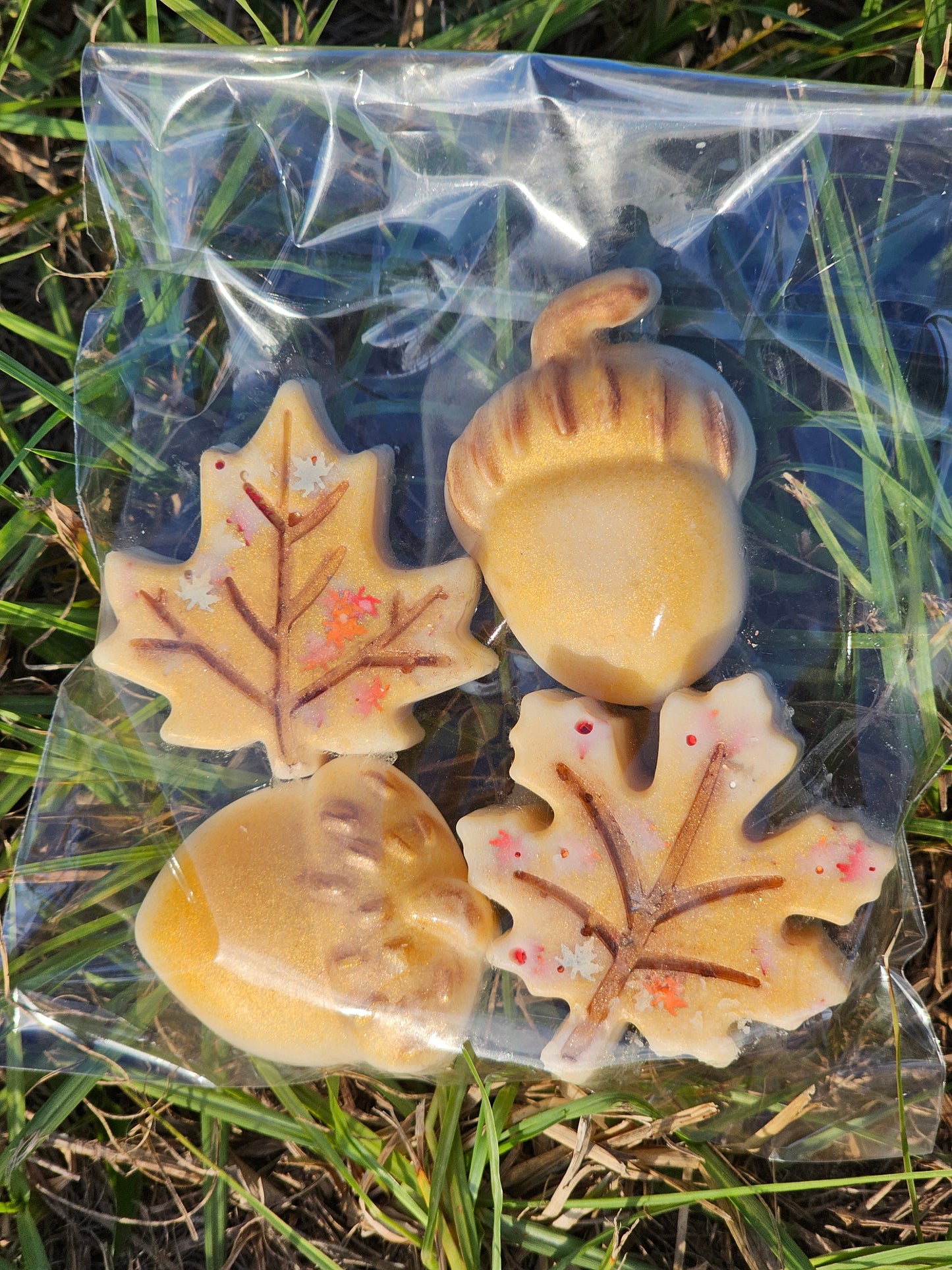 Acorns 🌰 & Leaves 🍁 Wax Melts