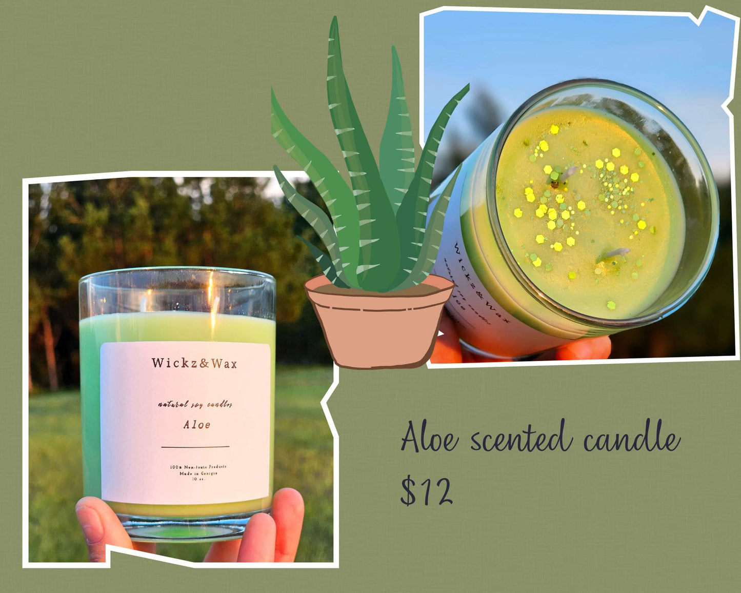 Aloe 🪴 scented 10oz. Candle