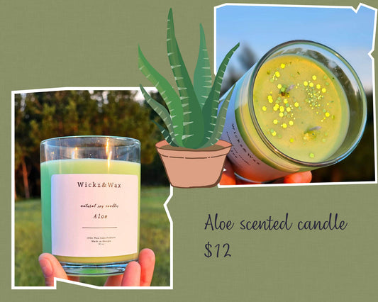 Aloe 🪴 scented 10oz. Candle